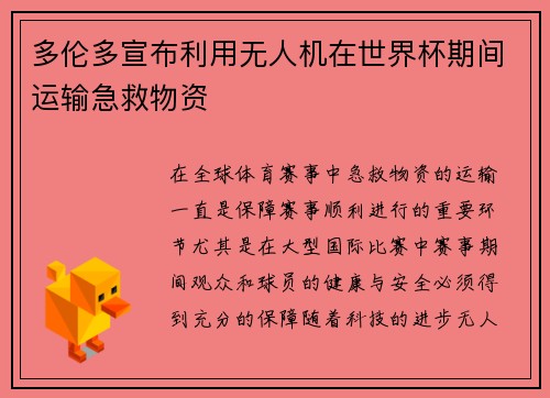 多伦多宣布利用无人机在世界杯期间运输急救物资 多伦多宣布利用无人机在世界杯期间运输急救物资